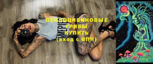 ECSTASY Абаза